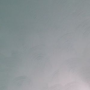 Meet your Posher, Ally